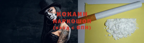 PSILOCYBIN Сосновый Бор